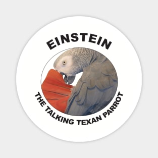 Einstein Parrot African Grey Logo Magnet